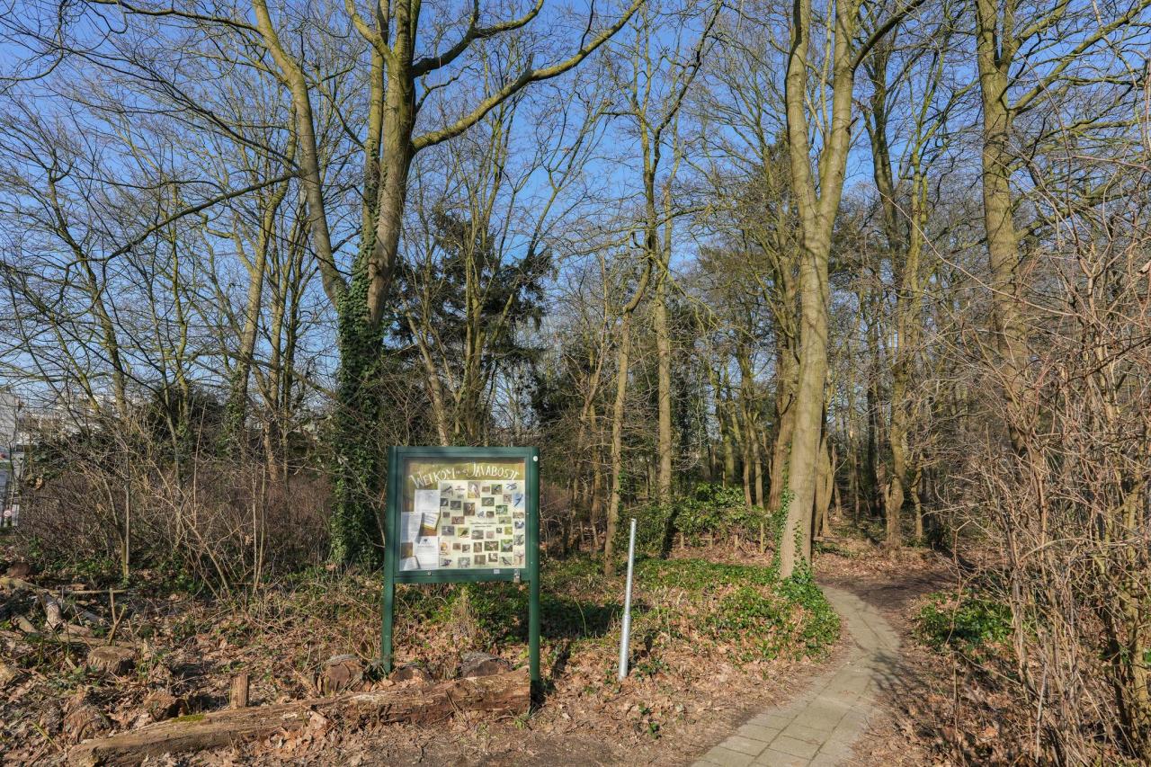 Javastraat 84, Nijmegen (6524 MG)