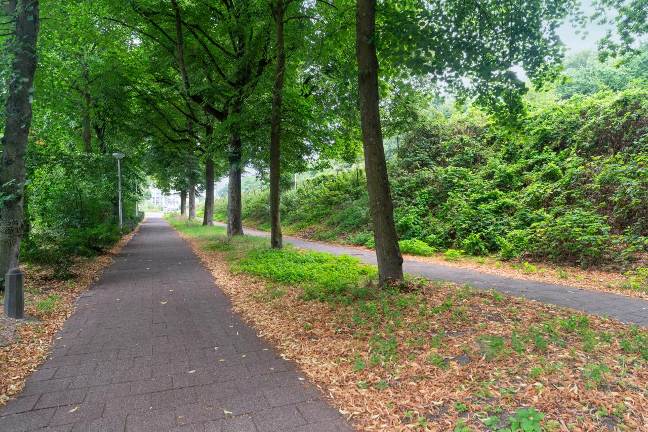 Eerste Oude Heselaan 96, Nijmegen (6541 PC)