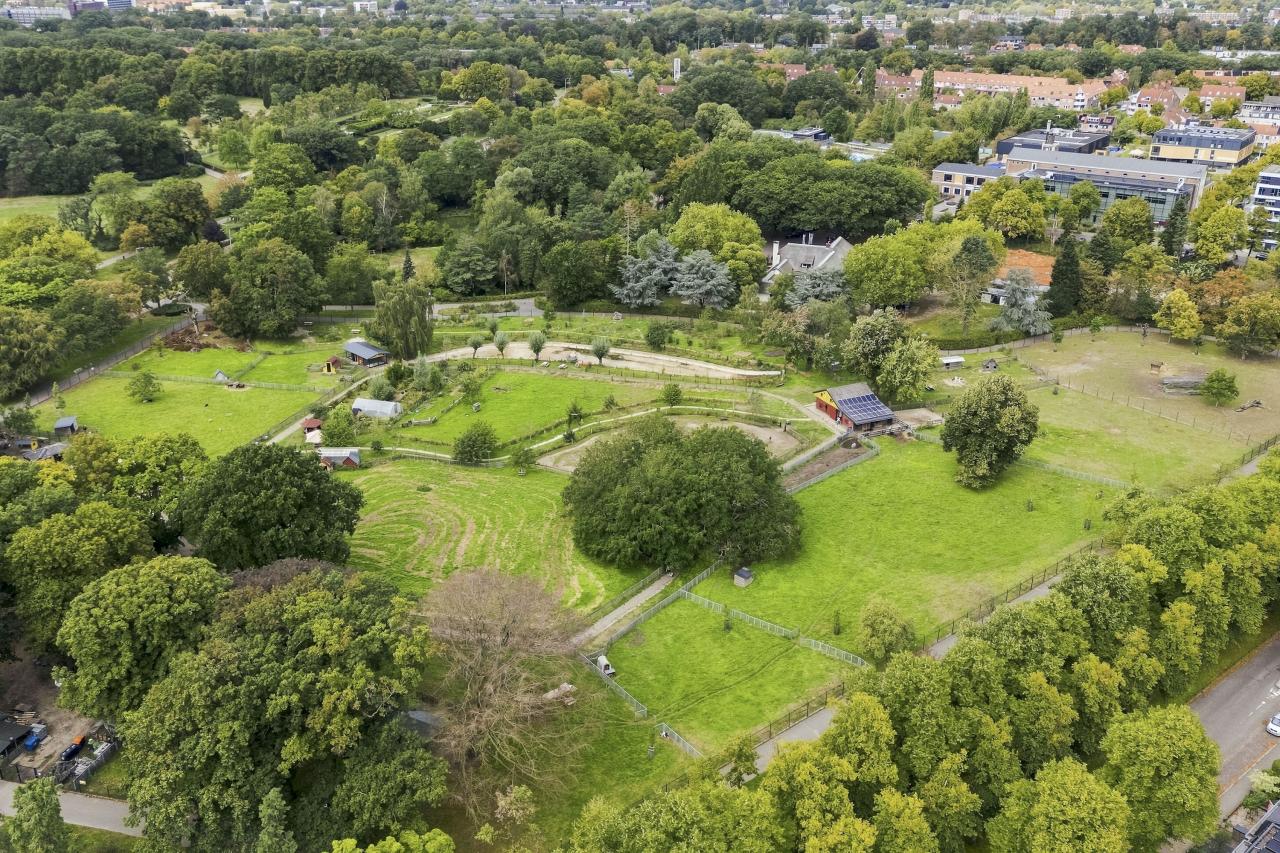 Wezenlaan 177, Nijmegen (6531 MN)